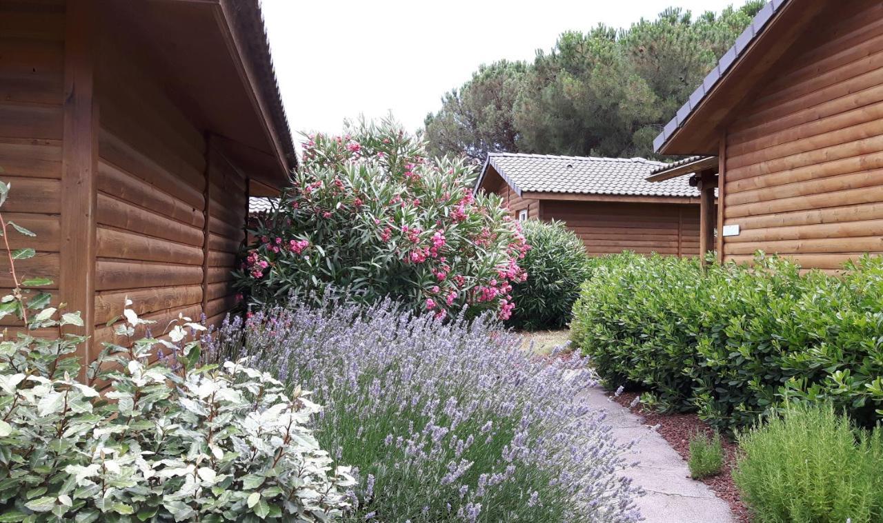 Parc Residentiel Les Hauts De Baldy Agde Zewnętrze zdjęcie